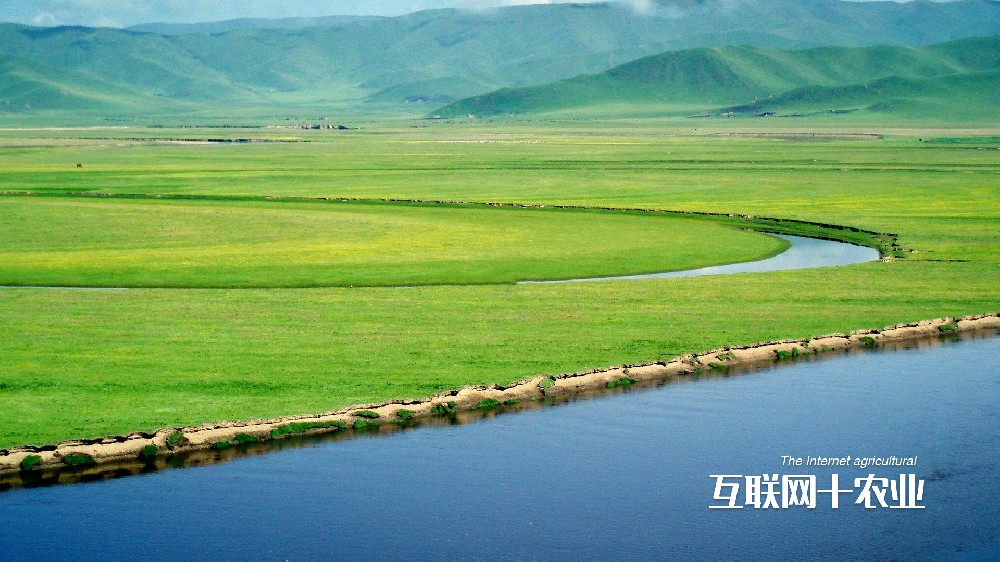 我們?nèi)绾勿B(yǎng)活世界？面向未來的智能農(nóng)業(yè)