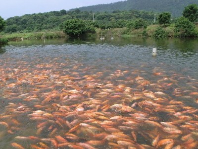 水產(chǎn)養(yǎng)殖水質(zhì)常規(guī)檢測(cè)的傳感器有哪些？